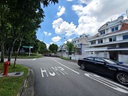Tivoli Gardens (D19), Terrace #452055011